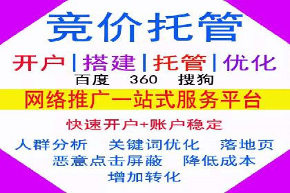 百度竞价推广案例：行业领军者成长故事